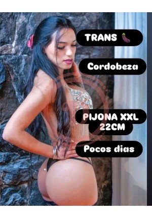 Cordobeza Pocos dias - 1